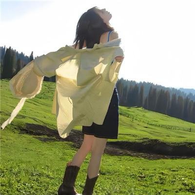 情侠艾夫传
