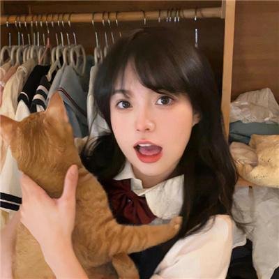 警察与女兵国语